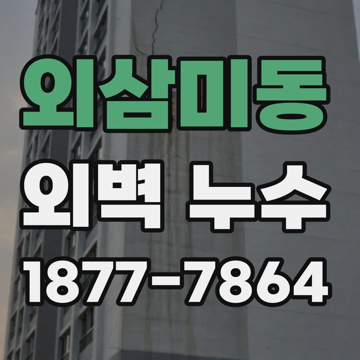 외삼미동 외벽 누수