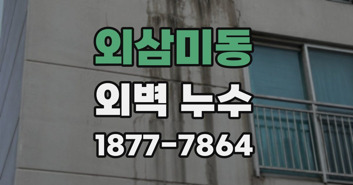 외삼미동 외벽 누수