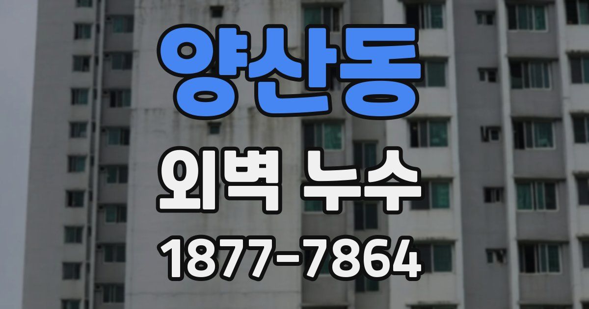 양산동 외벽 누수
