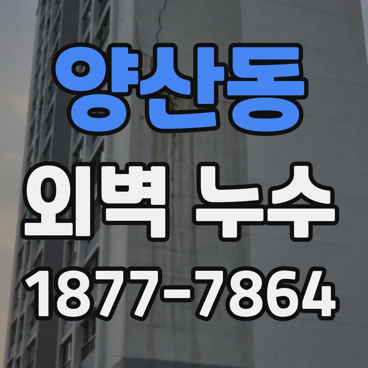양산동 외벽 누수