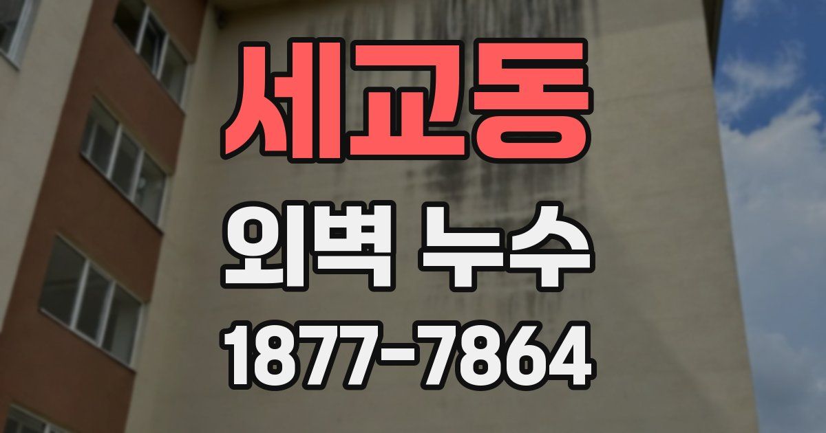 세교동 외벽 누수