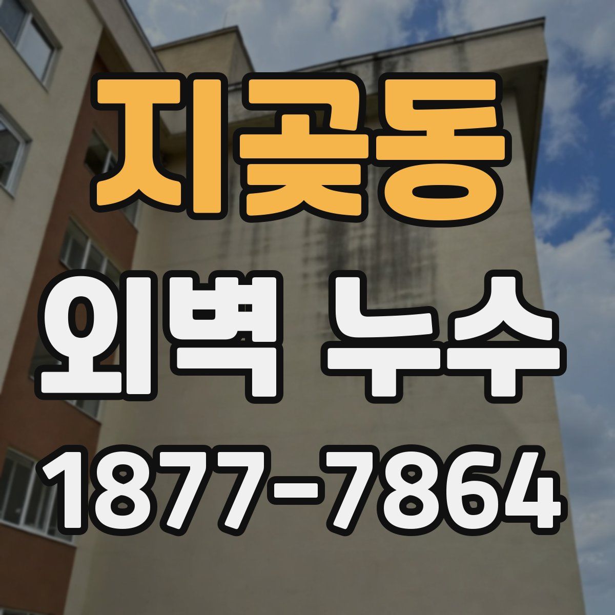 지곶동 외벽 누수