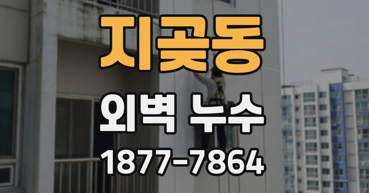 지곶동 외벽 누수