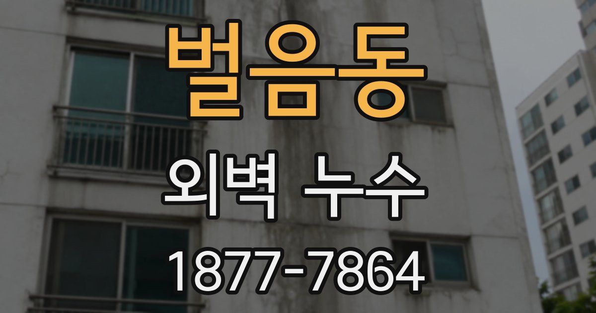 벌음동 외벽 누수