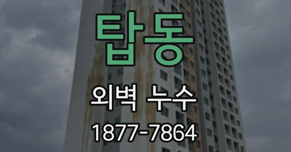 탑동 외벽 누수
