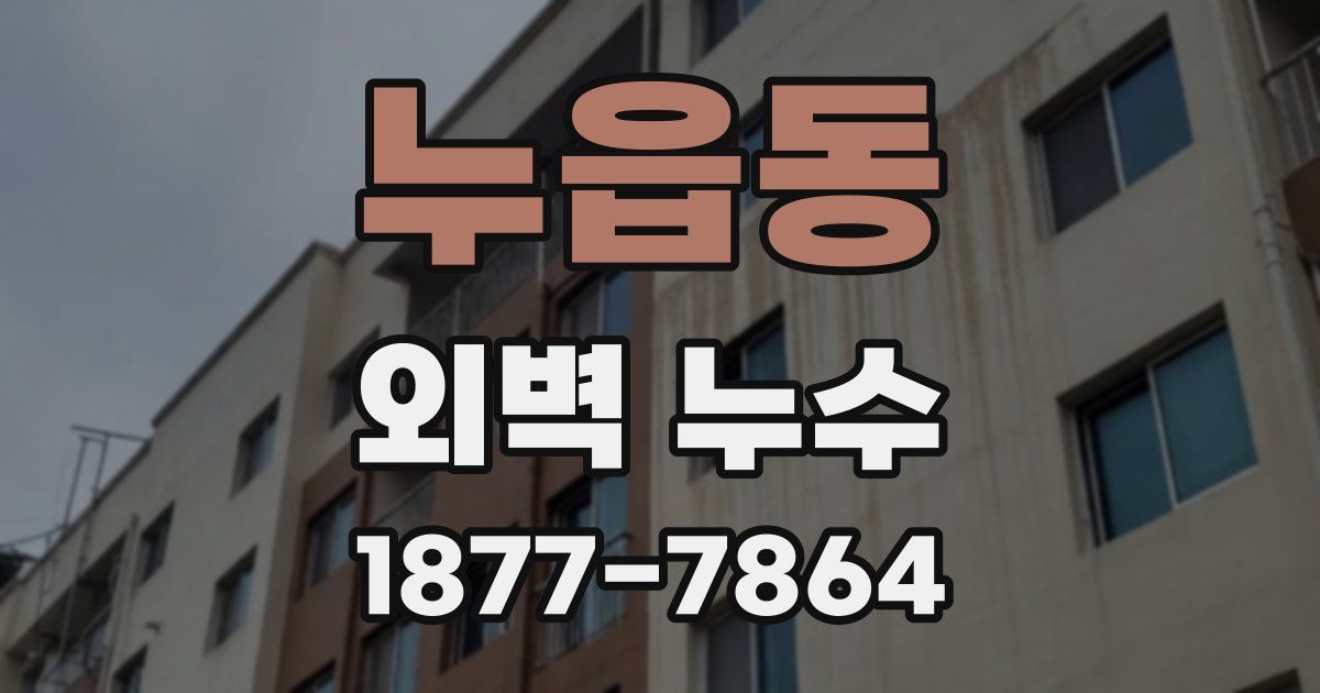 누읍동 외벽 누수