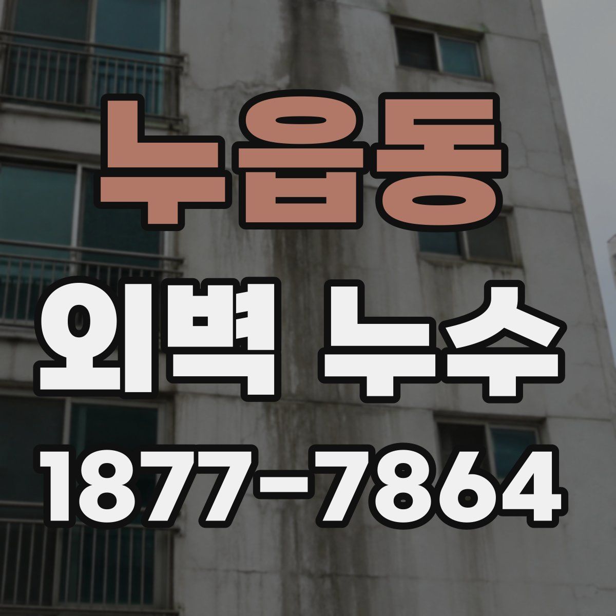 누읍동 외벽 누수