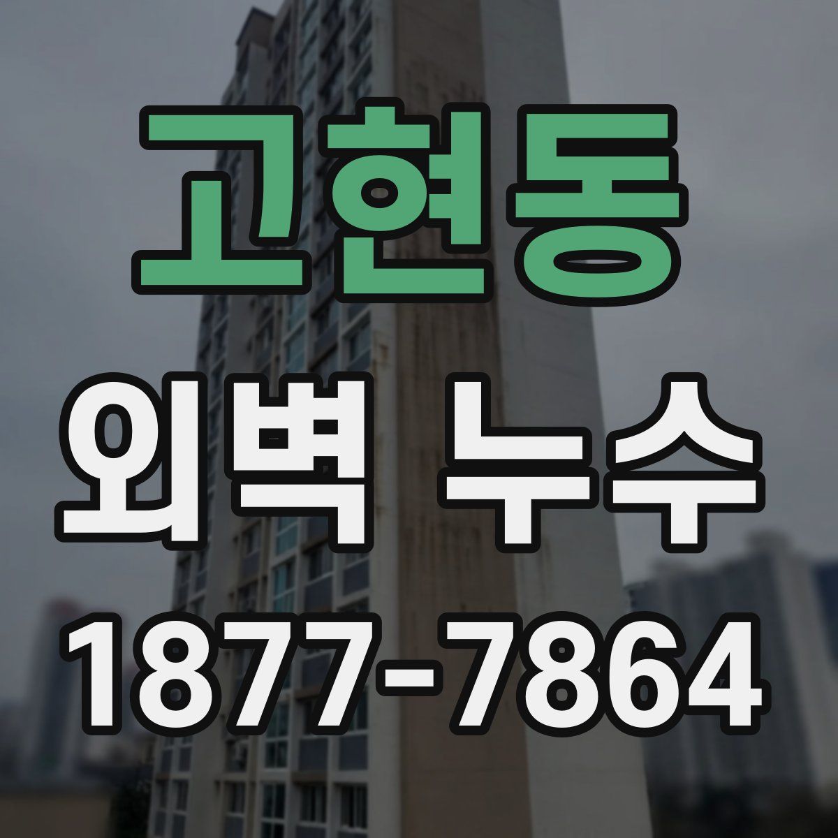 고현동 외벽 누수