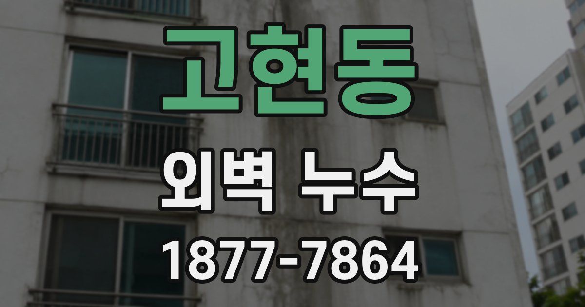 고현동 외벽 누수