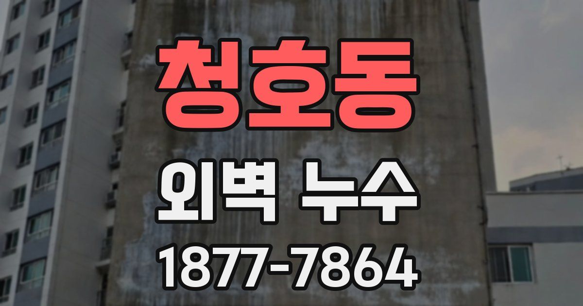 청호동 외벽 누수