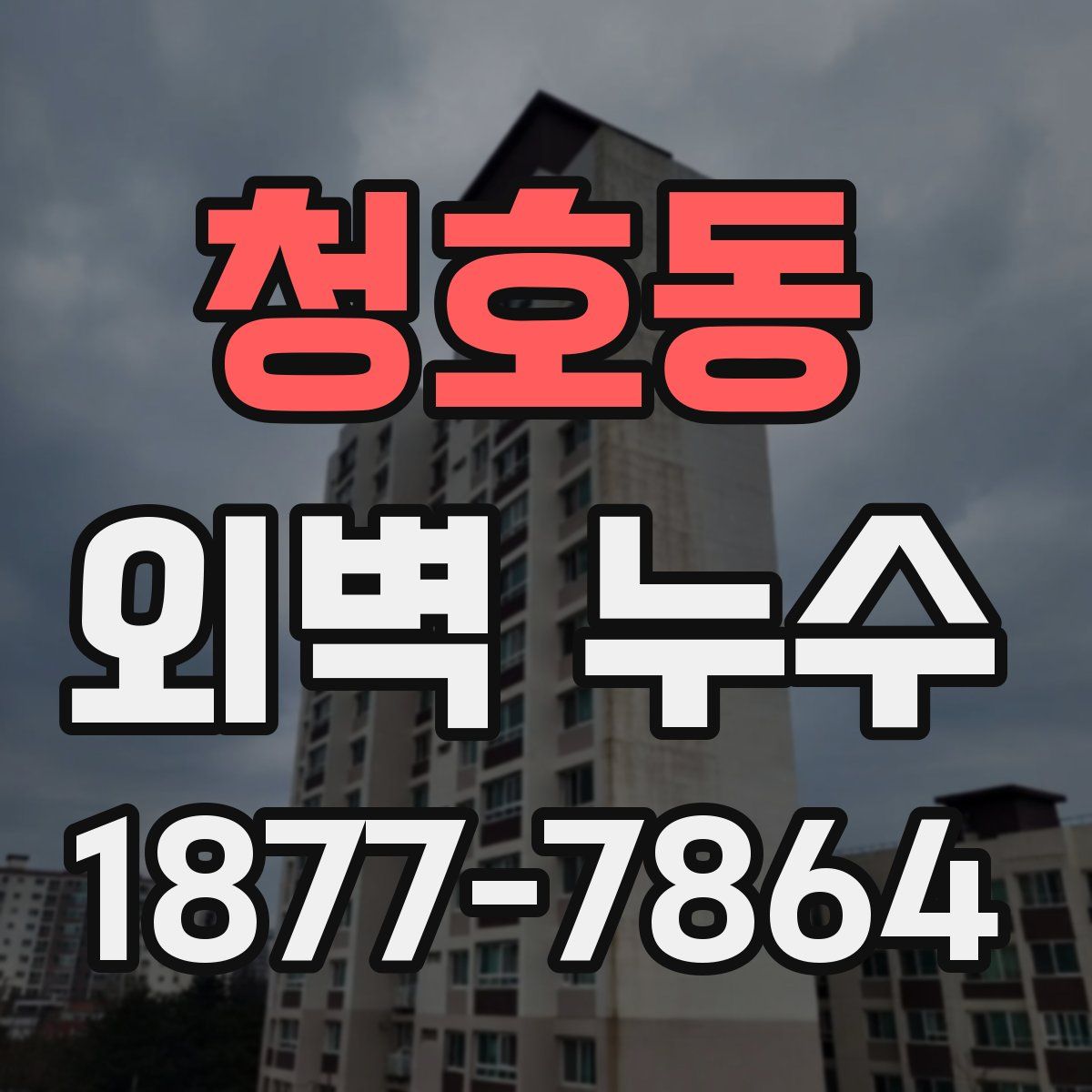 청호동 외벽 누수