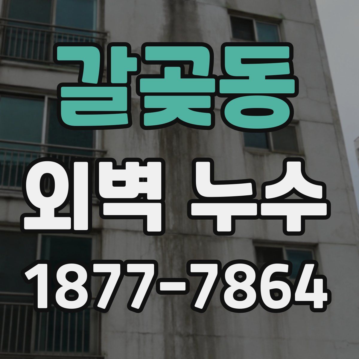 갈곶동 외벽 누수