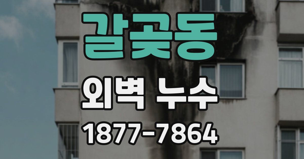 갈곶동 외벽 누수