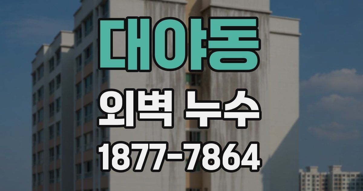 대야동 외벽 누수
