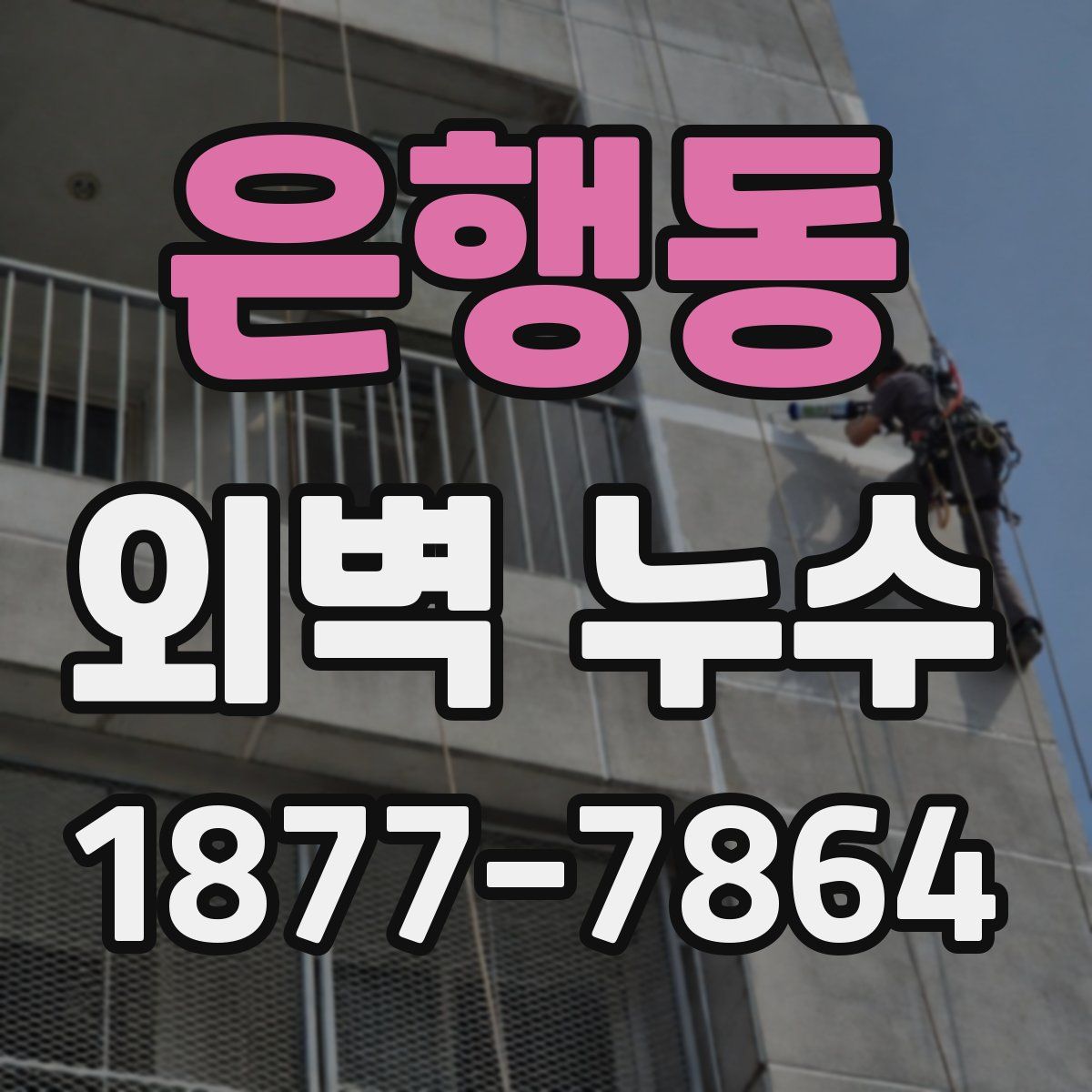 은행동 외벽 누수