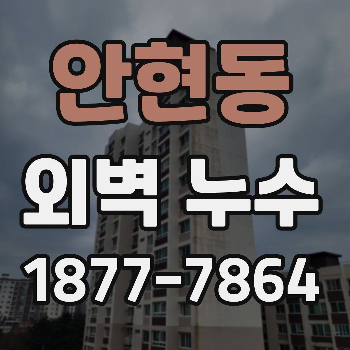 안현동 외벽 누수