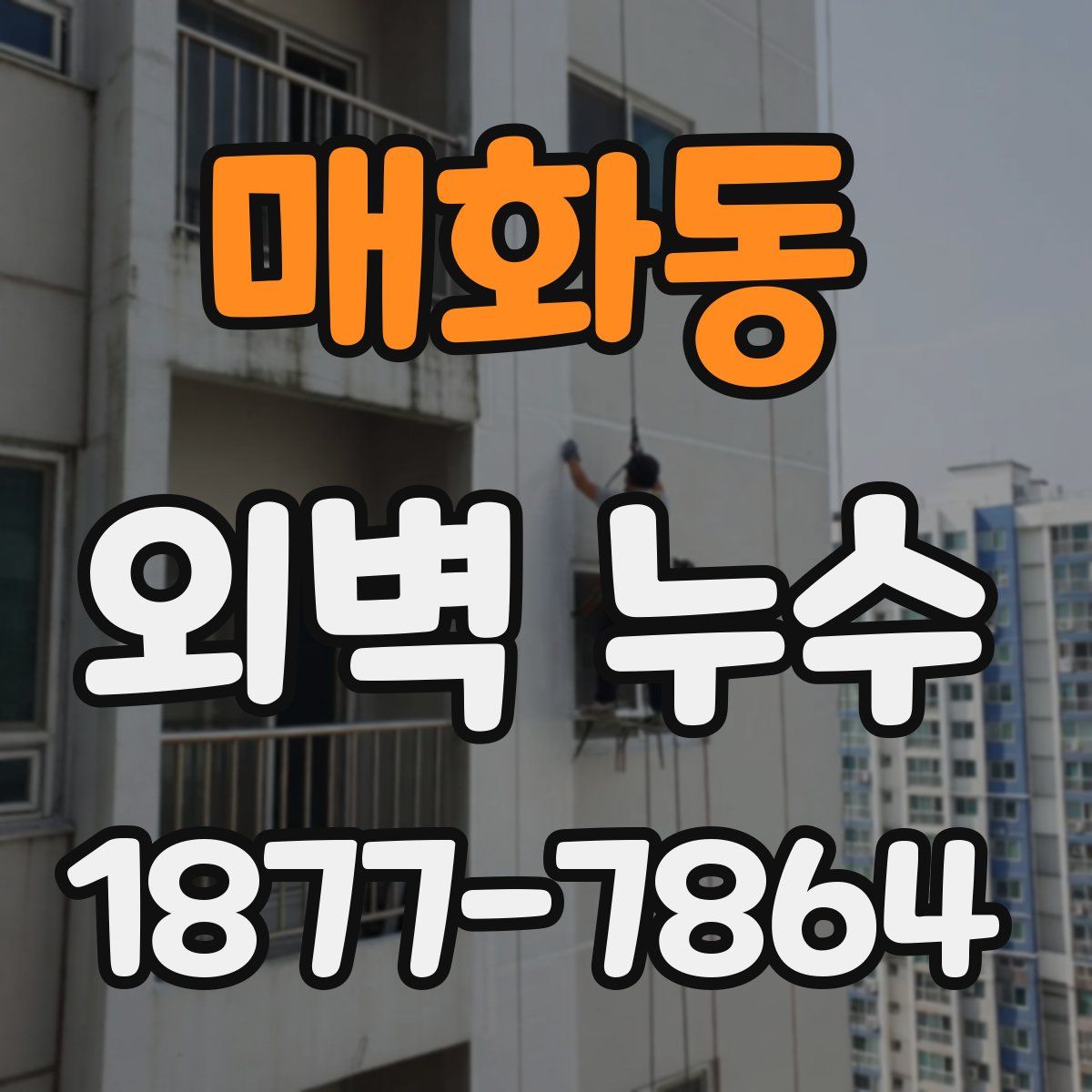 매화동 외벽 누수