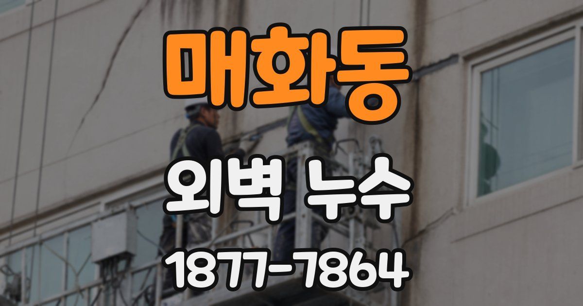 매화동 외벽 누수
