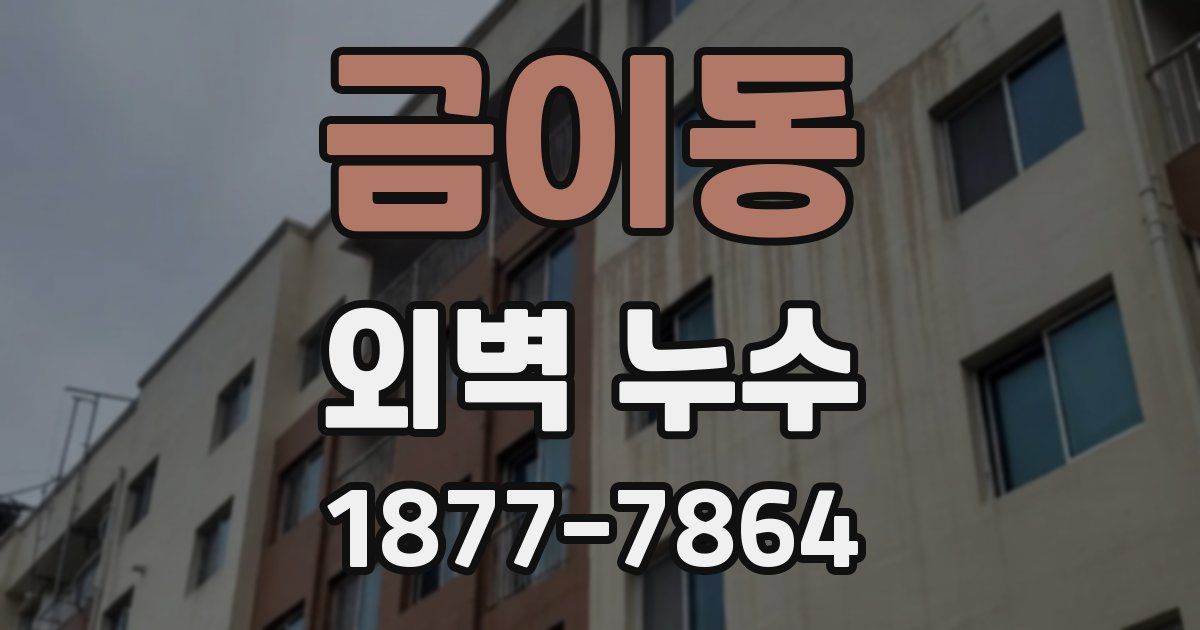 금이동 외벽 누수