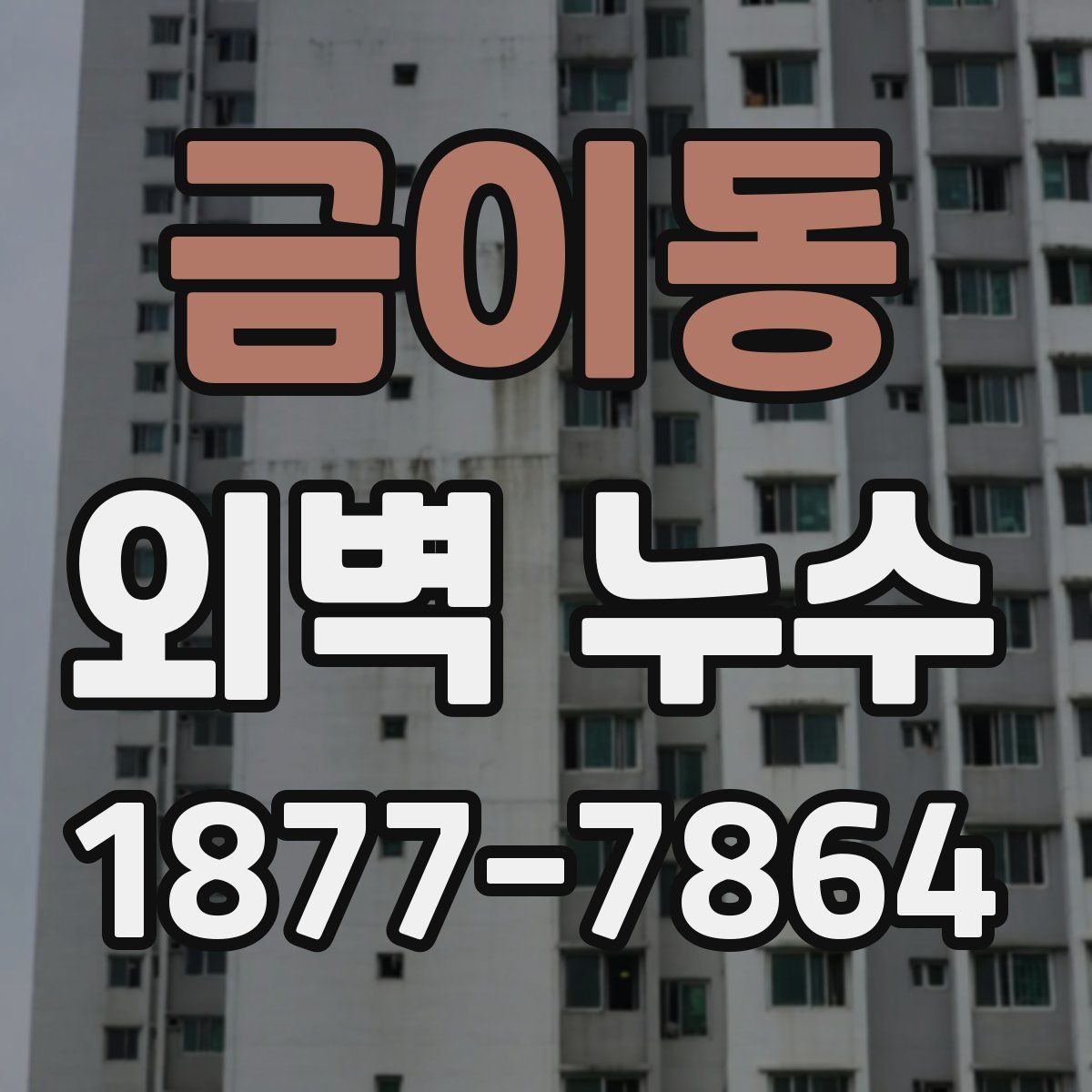 금이동 외벽 누수