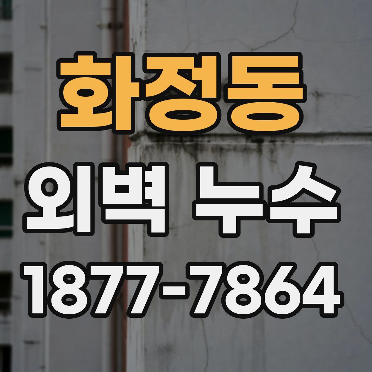 화정동 외벽 누수