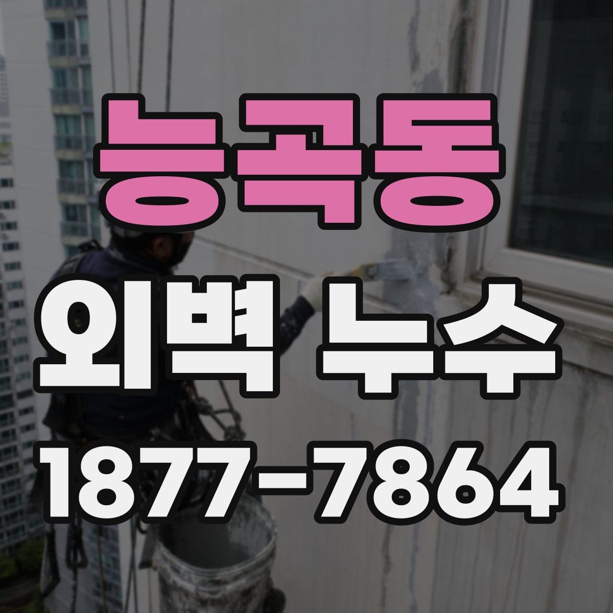 능곡동 외벽 누수