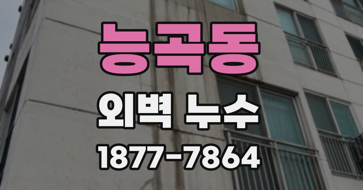 능곡동 외벽 누수