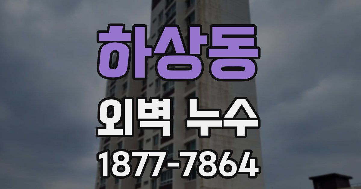하상동 외벽 누수