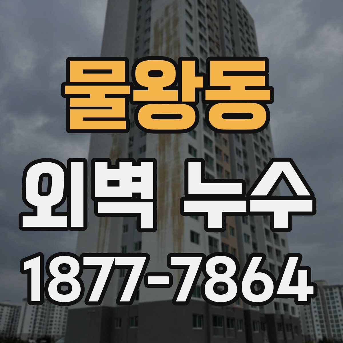 물왕동 외벽 누수