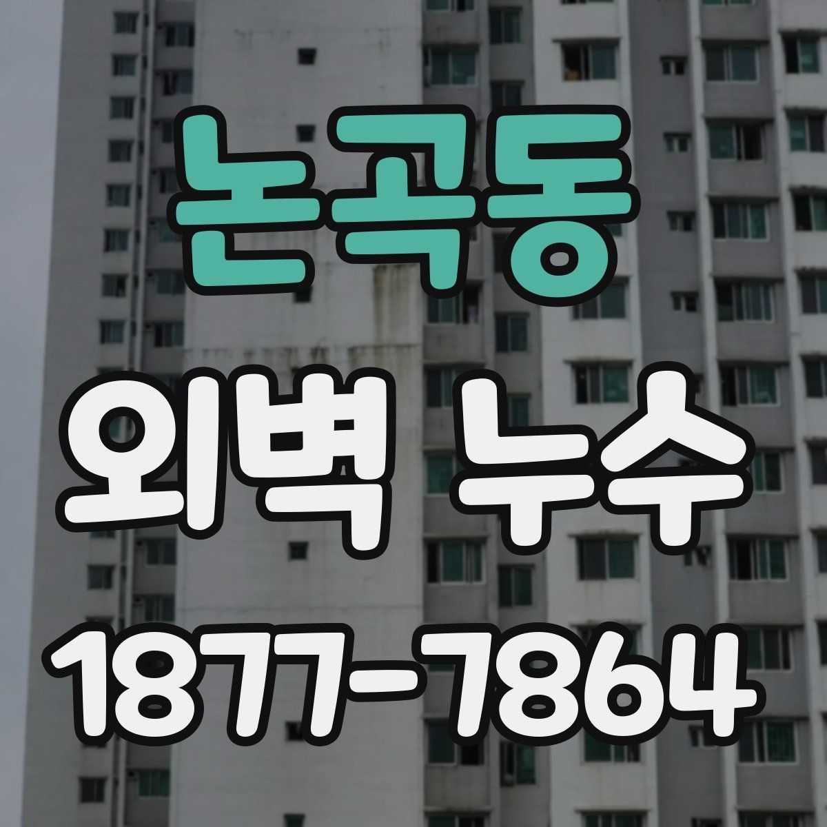 논곡동 외벽 누수