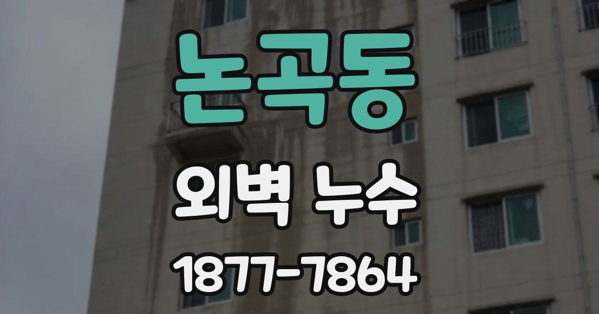 논곡동 외벽 누수