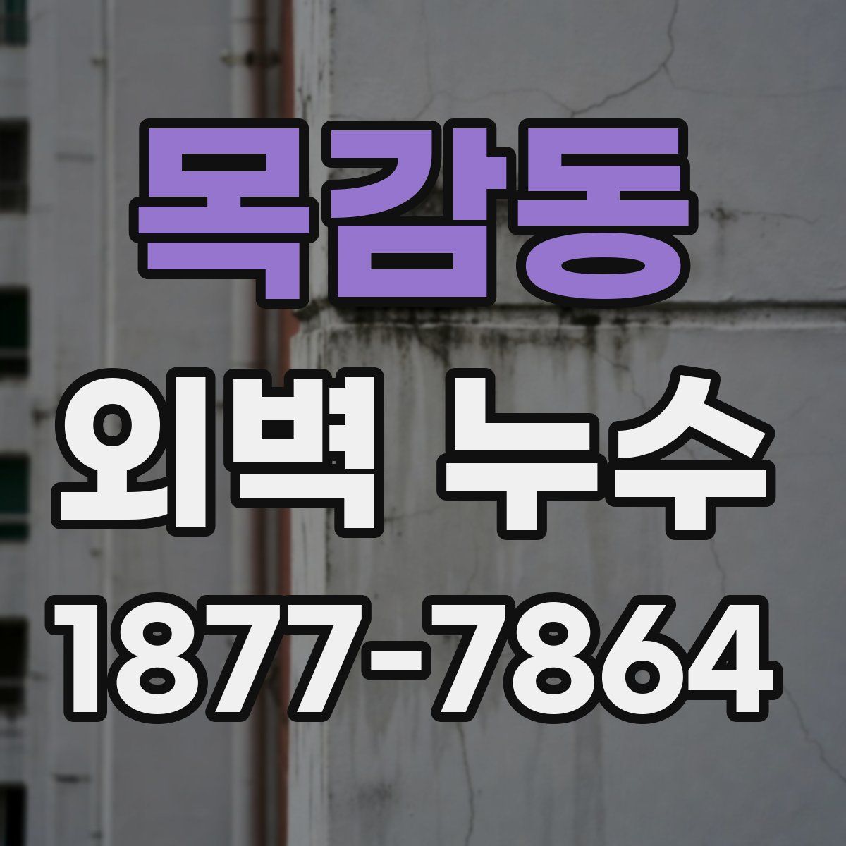 목감동 외벽 누수