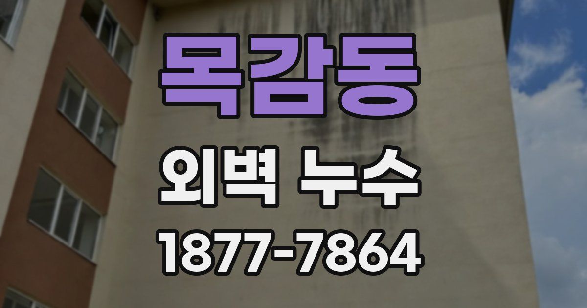 목감동 외벽 누수