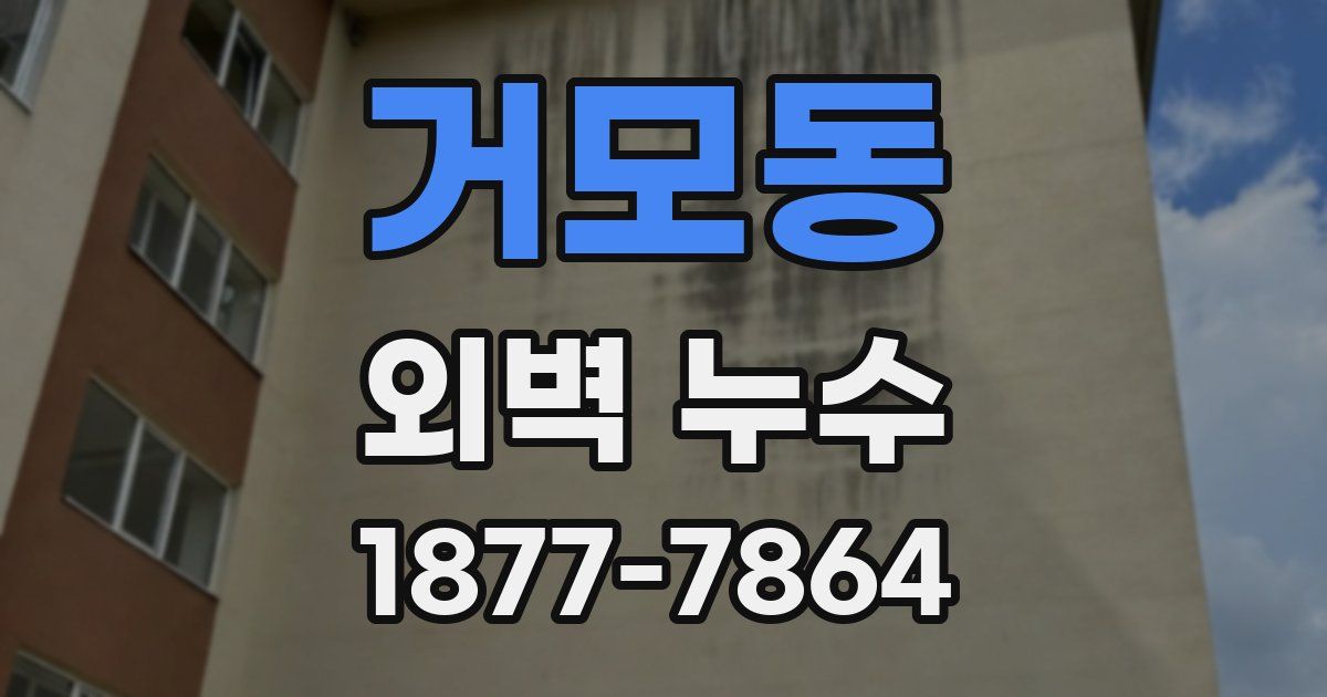거모동 외벽 누수