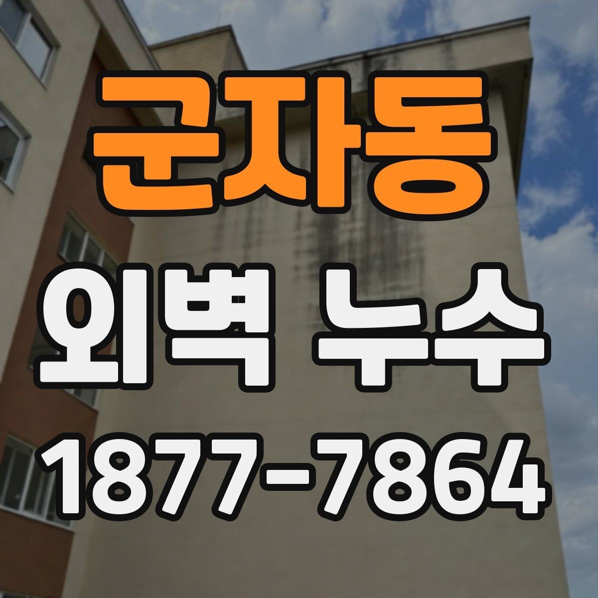 군자동 외벽 누수 예방을 위한 계절별 관리