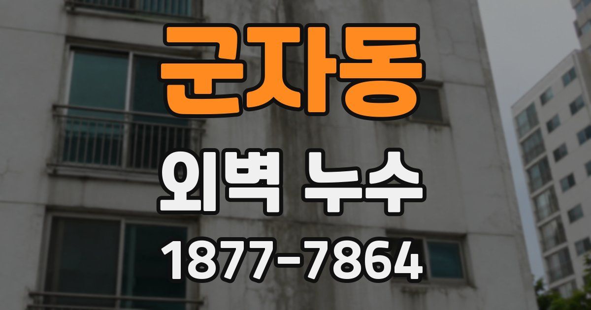 군자동 외벽 누수