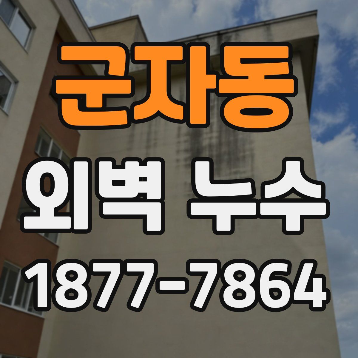 군자동 외벽 누수
