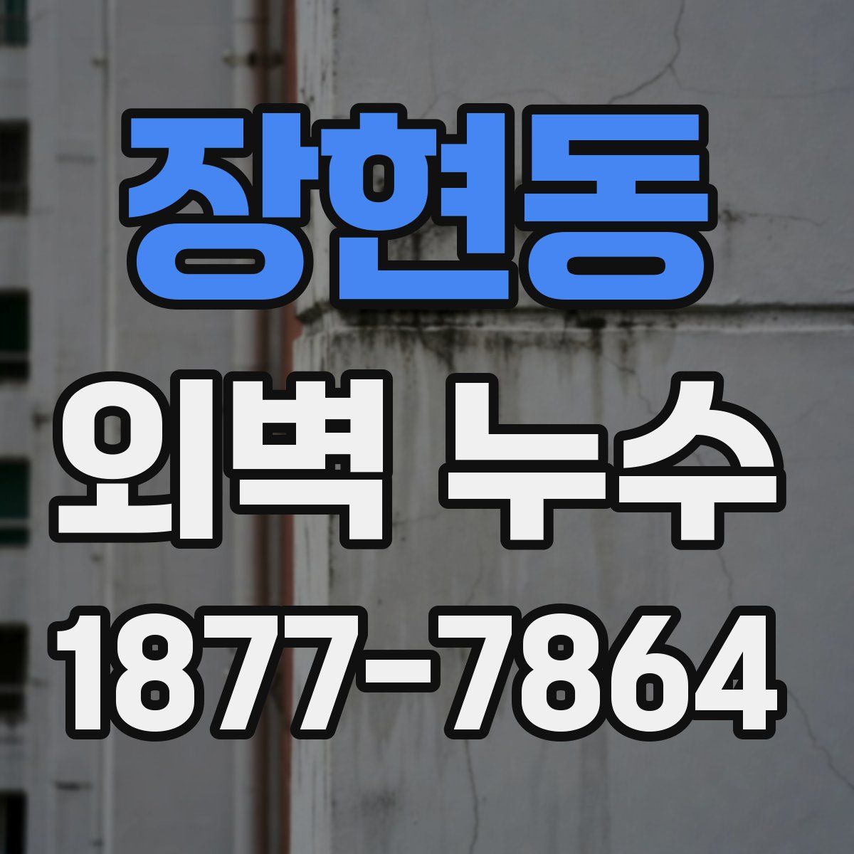 장현동 외벽 누수