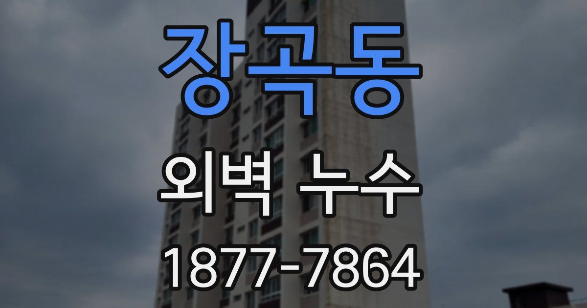 장곡동 외벽 누수