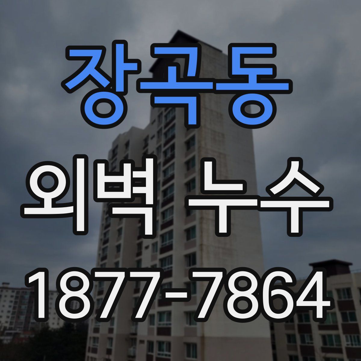 장곡동 외벽 누수
