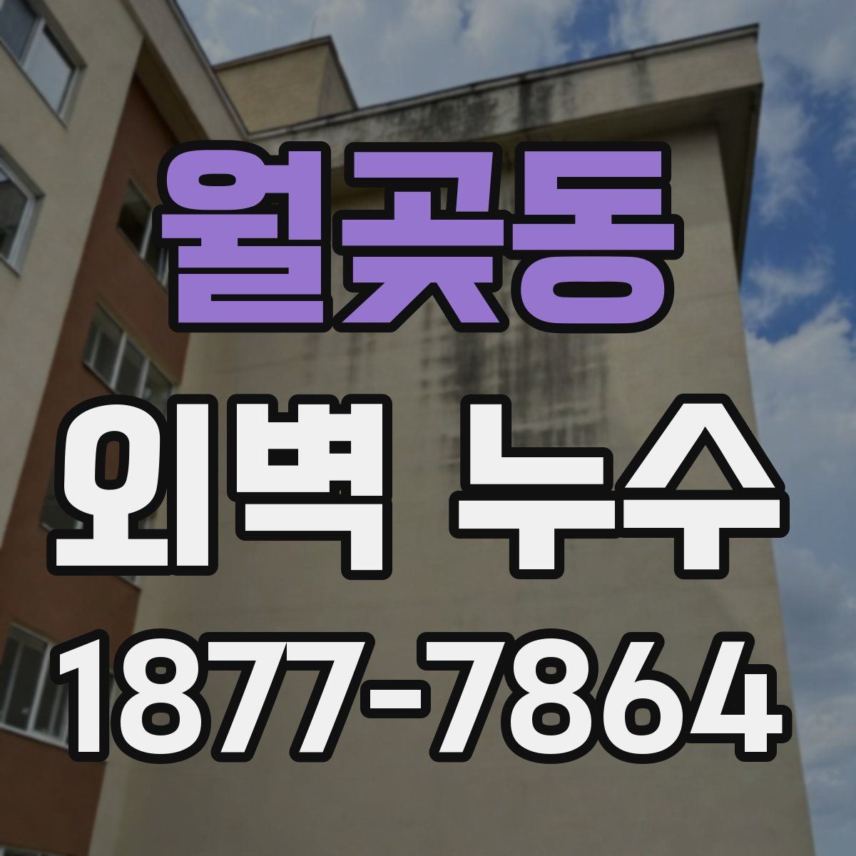 월곶동 외벽 누수
