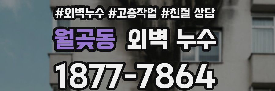 월곶동 외벽 누수