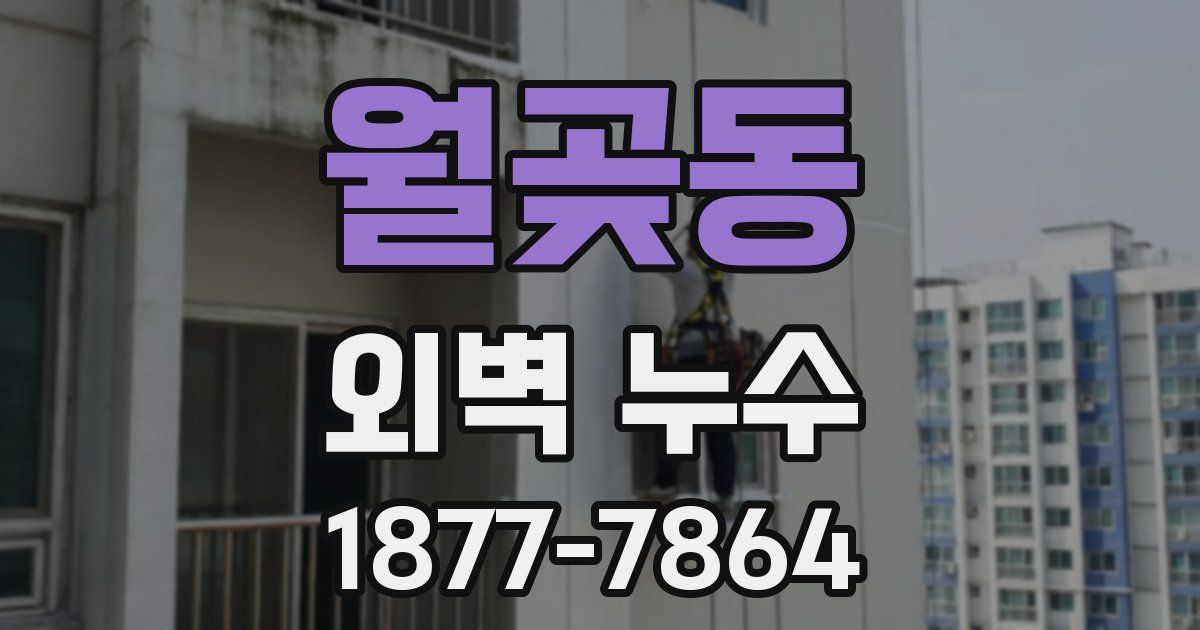 월곶동 외벽 누수