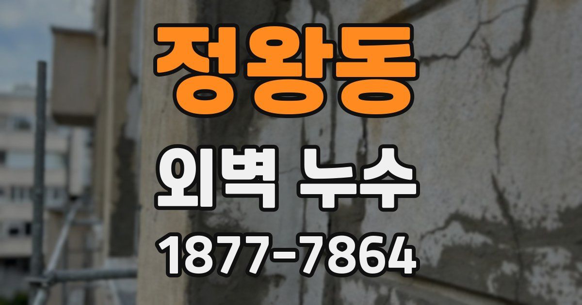 정왕동 외벽 누수
