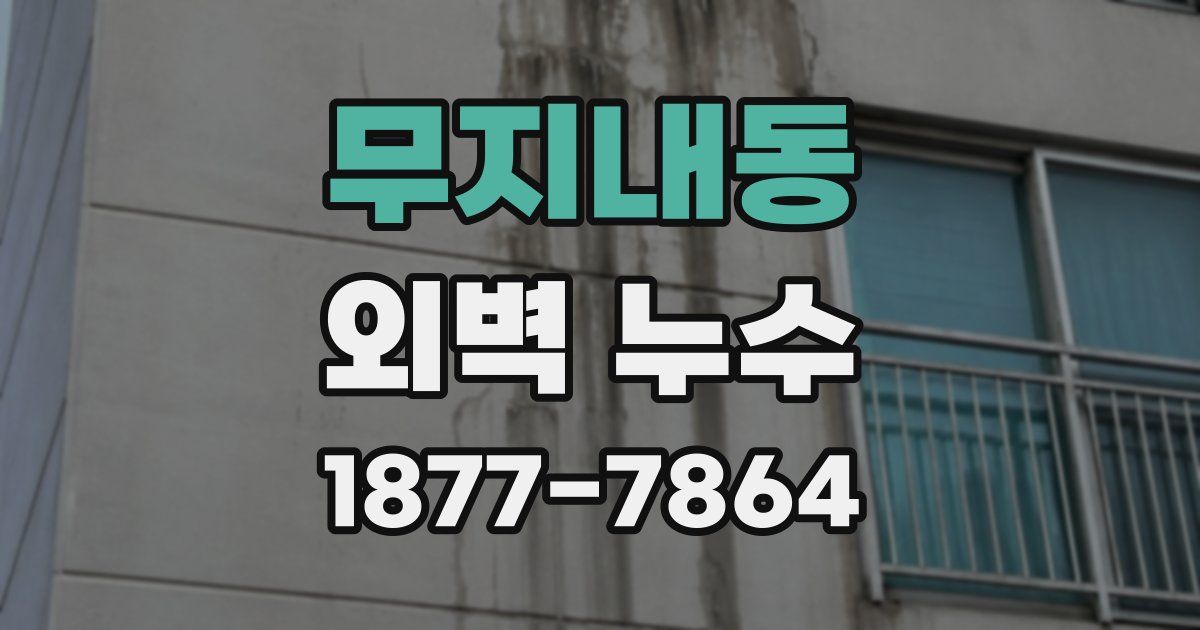무지내동 외벽 누수