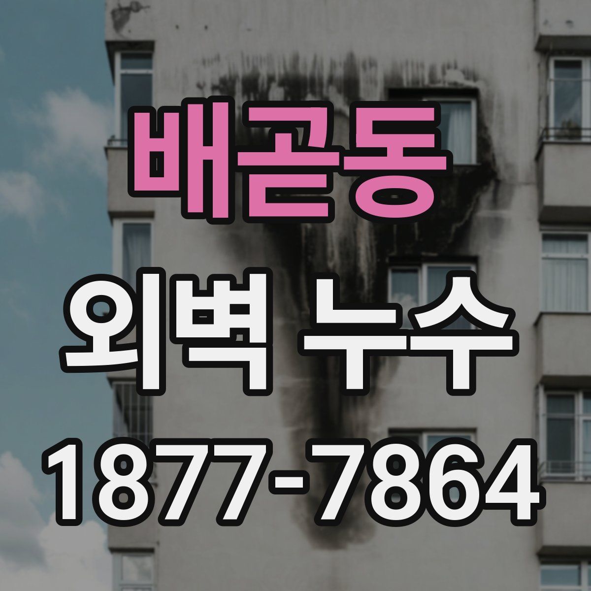 배곧동 외벽 누수