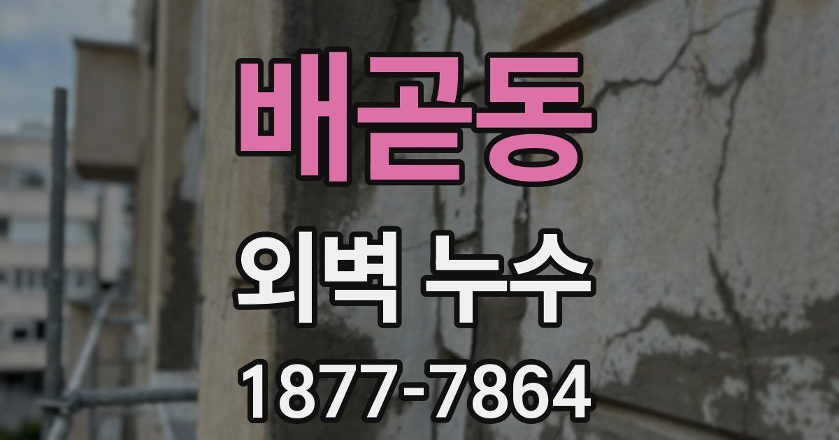 배곧동 외벽 누수