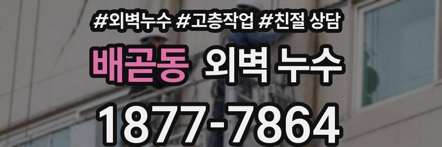 배곧동 외벽 누수
