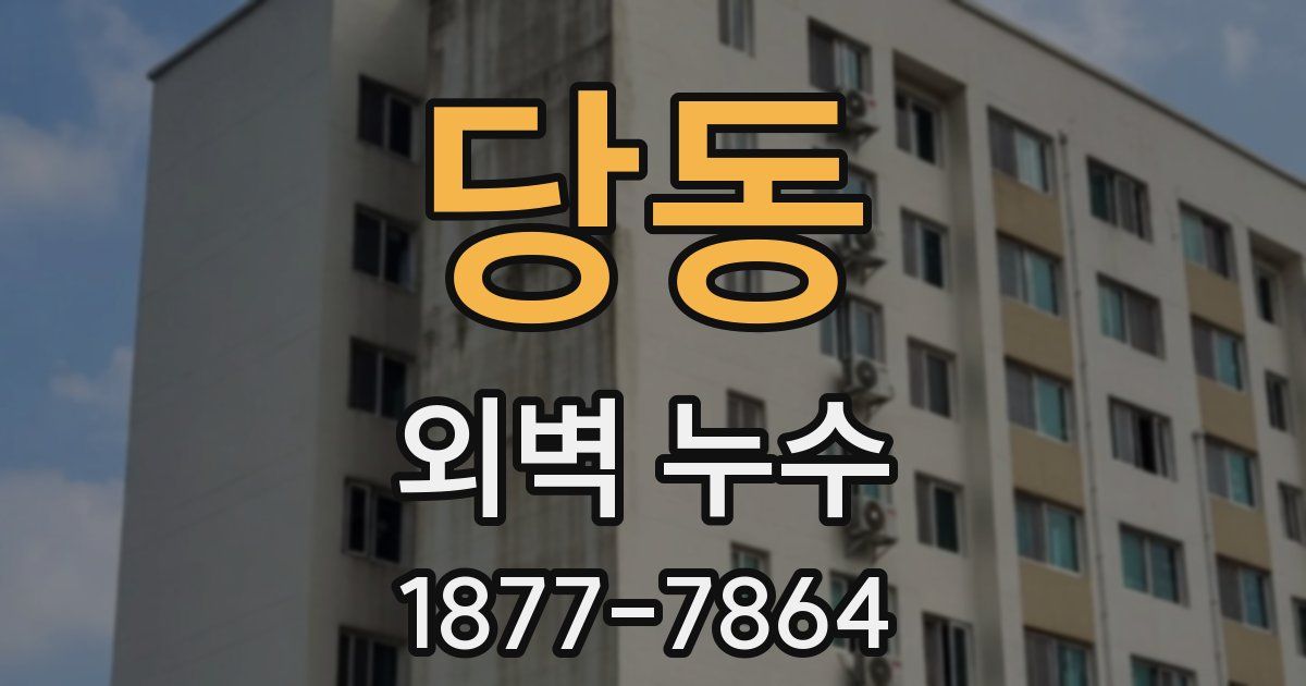당동 외벽 누수