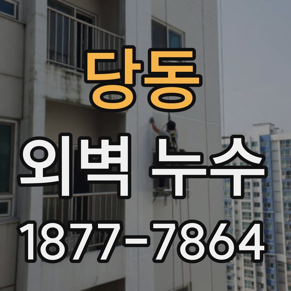 당동 외벽 누수